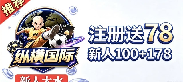 纵横国际